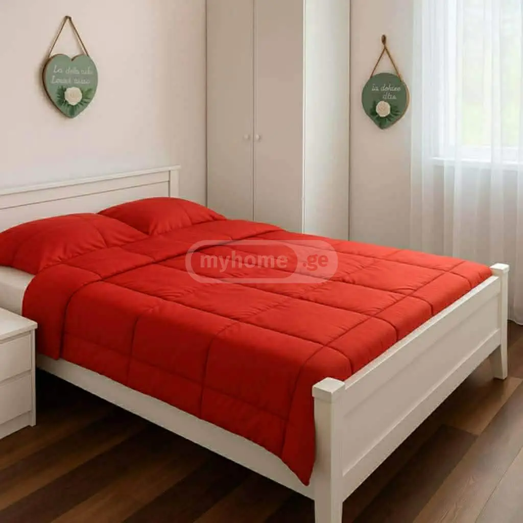 4 Room Private House For Rent In Borjomi view 5