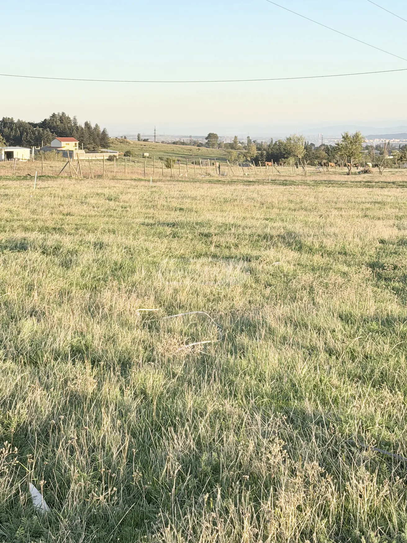 Agricultural Plot For Sale In Varketili view 4