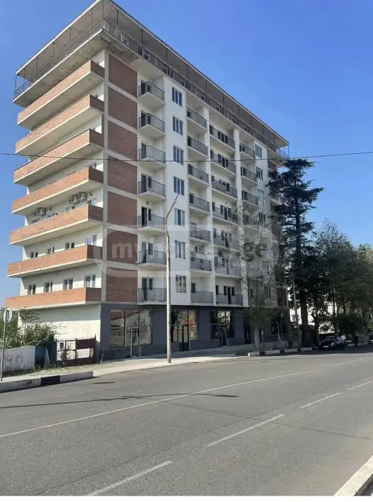 2 Room Apartment Daily Rent Aghmashenebeli, In Qutaisi view 2