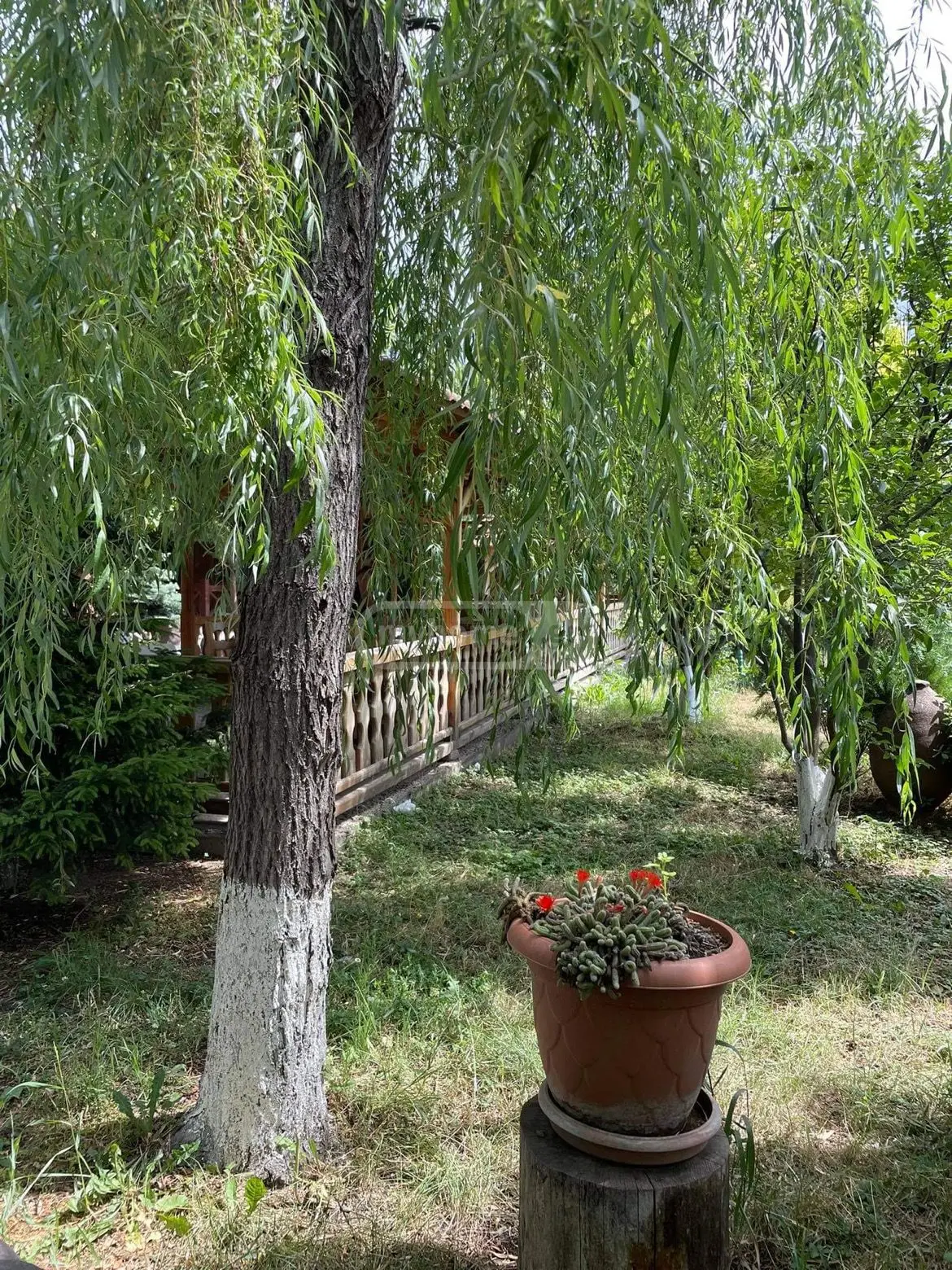 Food Object Commercial Area For Sale In Saguramo, In Mtskheta Municipality view 12