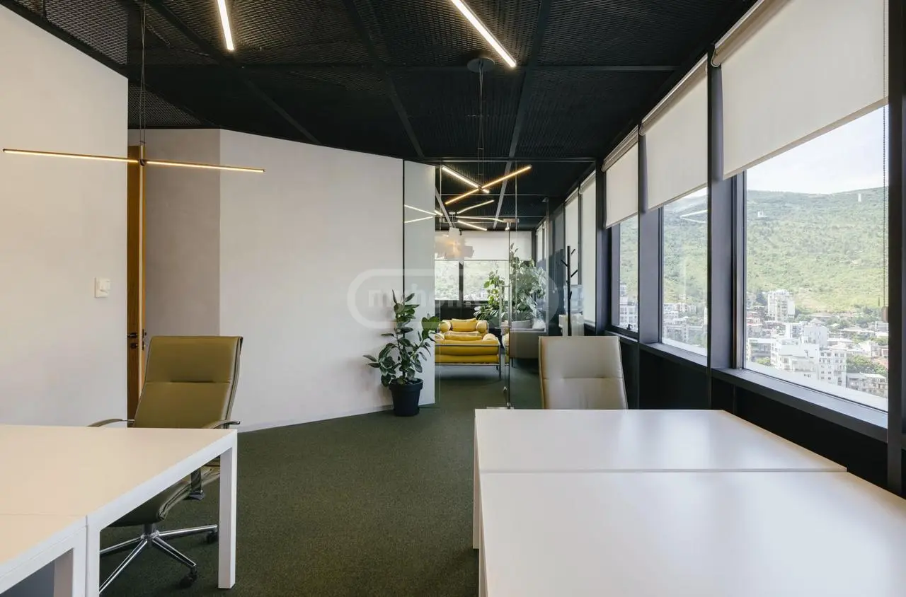 Office Commercial Area For Sale In Vake view 13