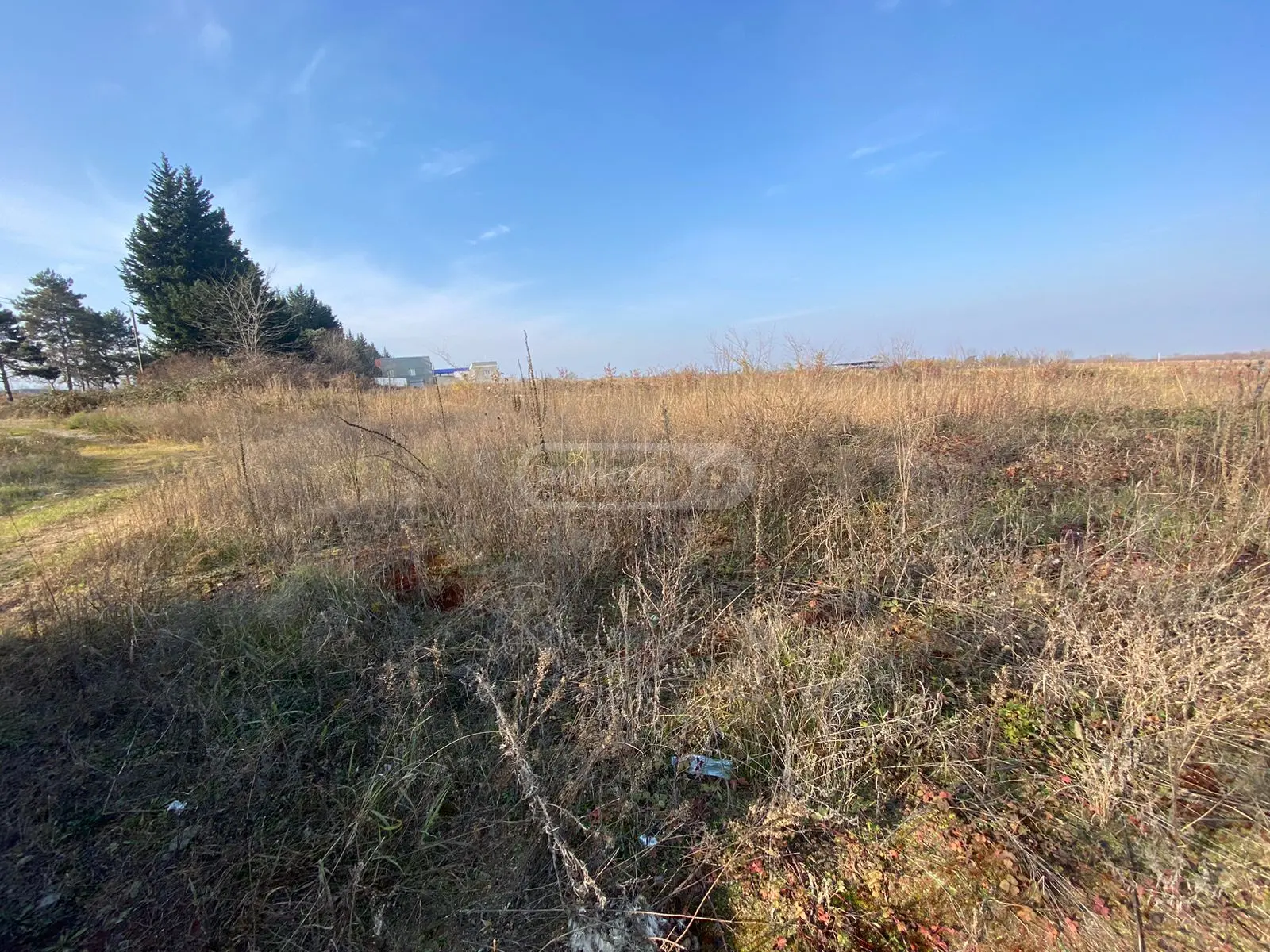 Investment / For Construction Plot For Sale In Telavi view 9