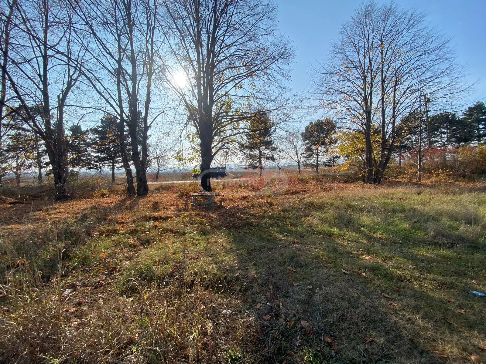 Investment / For Construction Plot For Sale In Telavi view 3