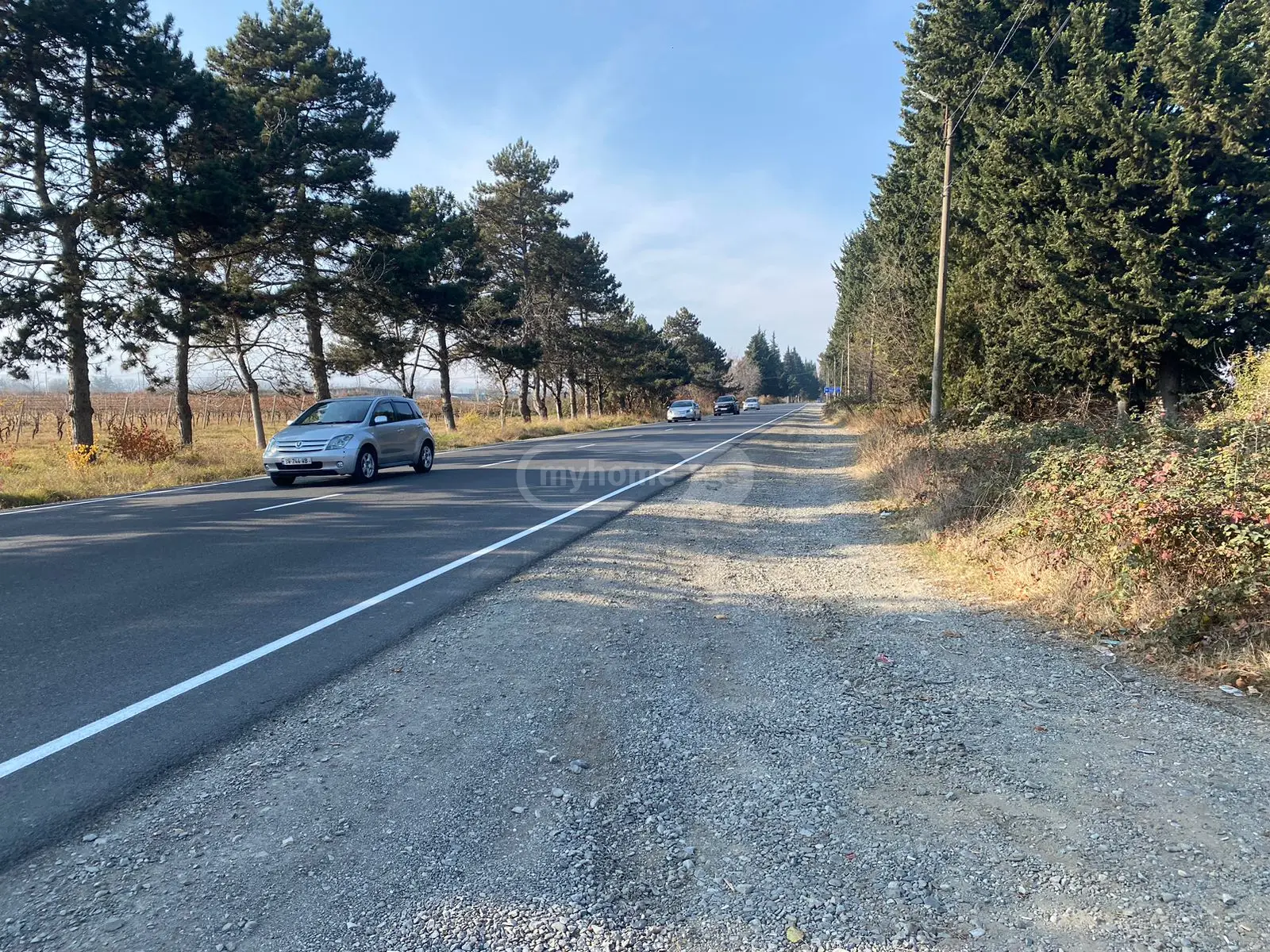 Investment / For Construction Plot For Sale In Telavi view 1