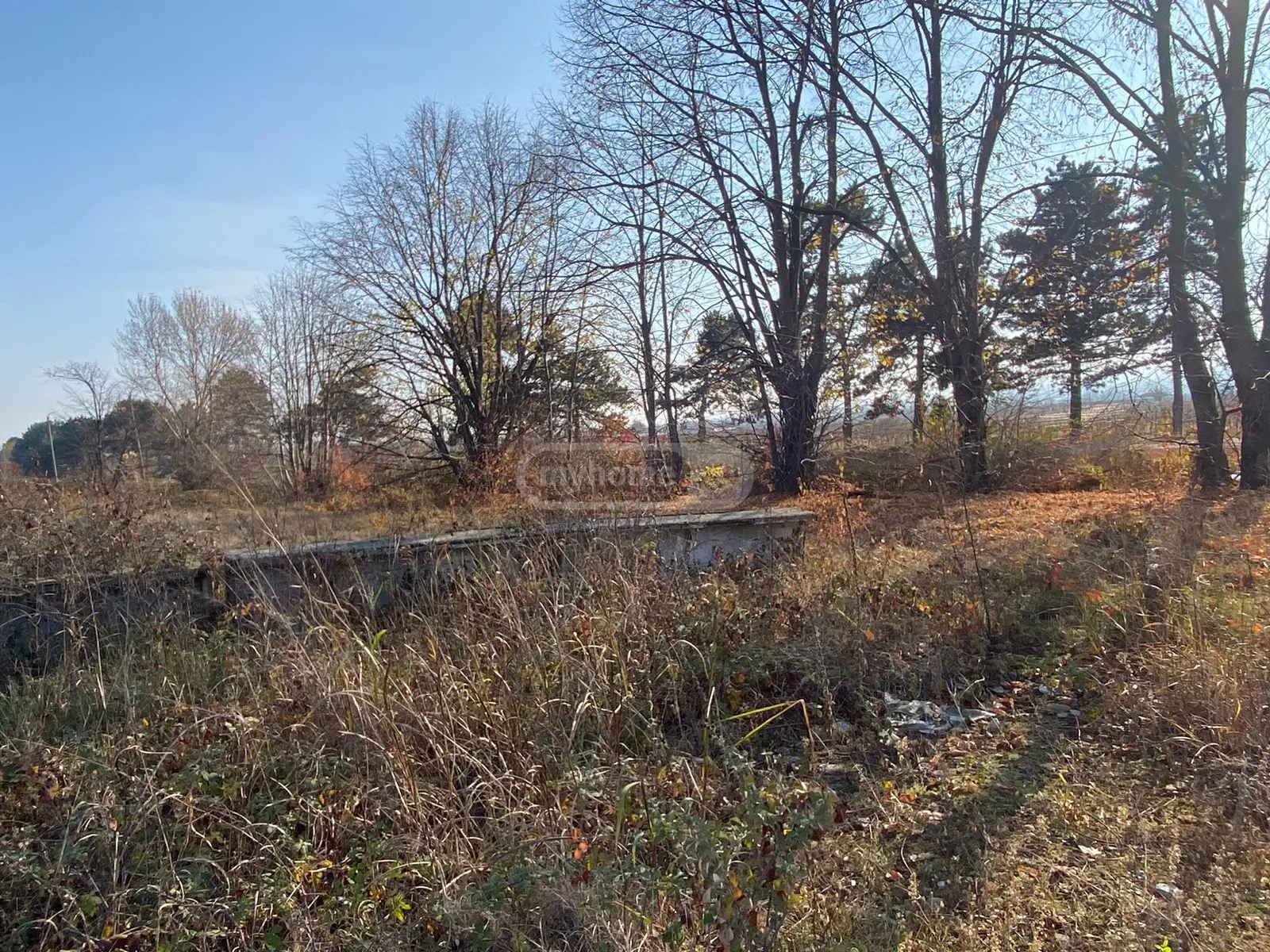 Investment / For Construction Plot For Sale In Telavi view 12