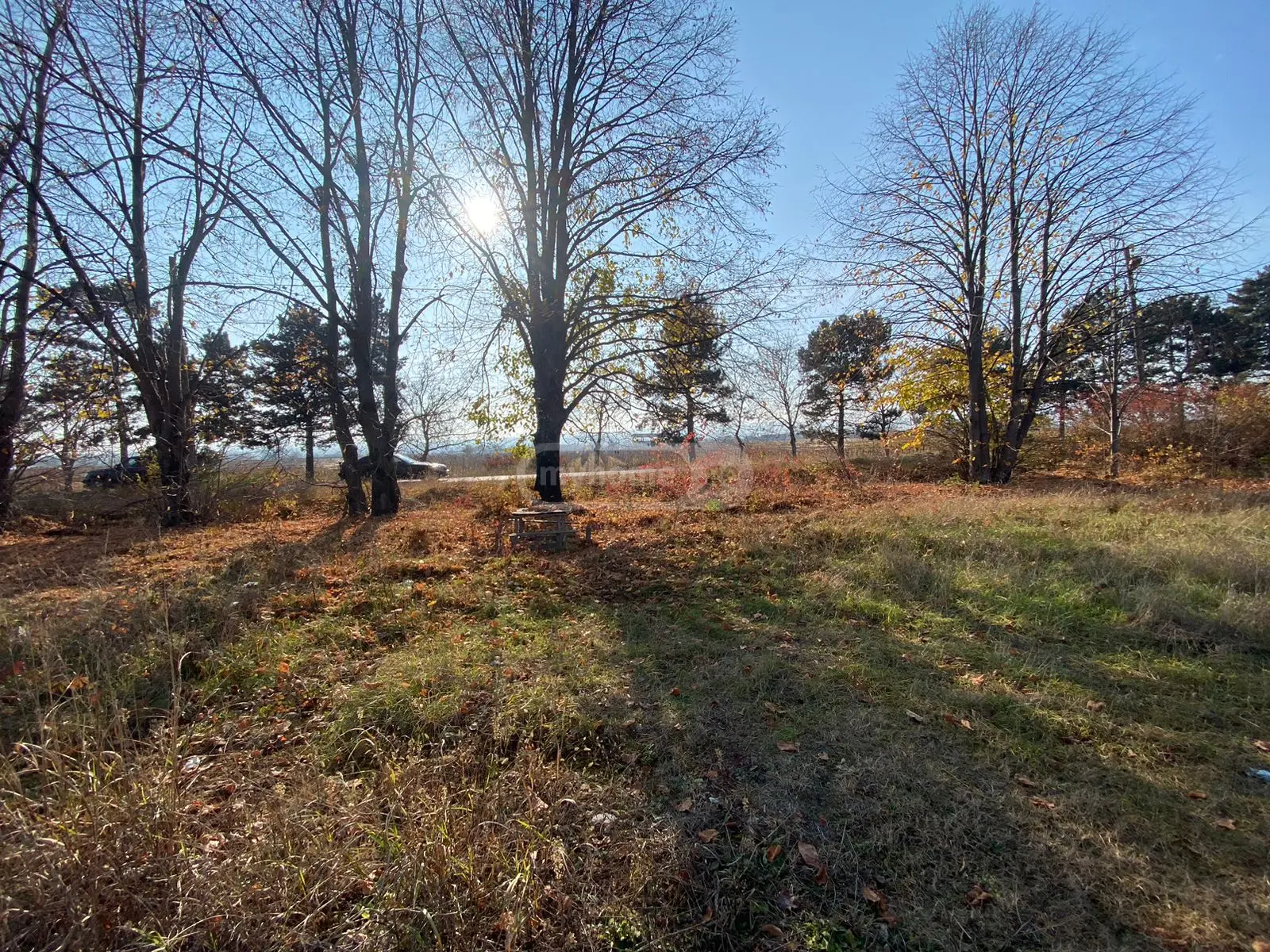 Investment / For Construction Plot For Sale In Telavi view 4