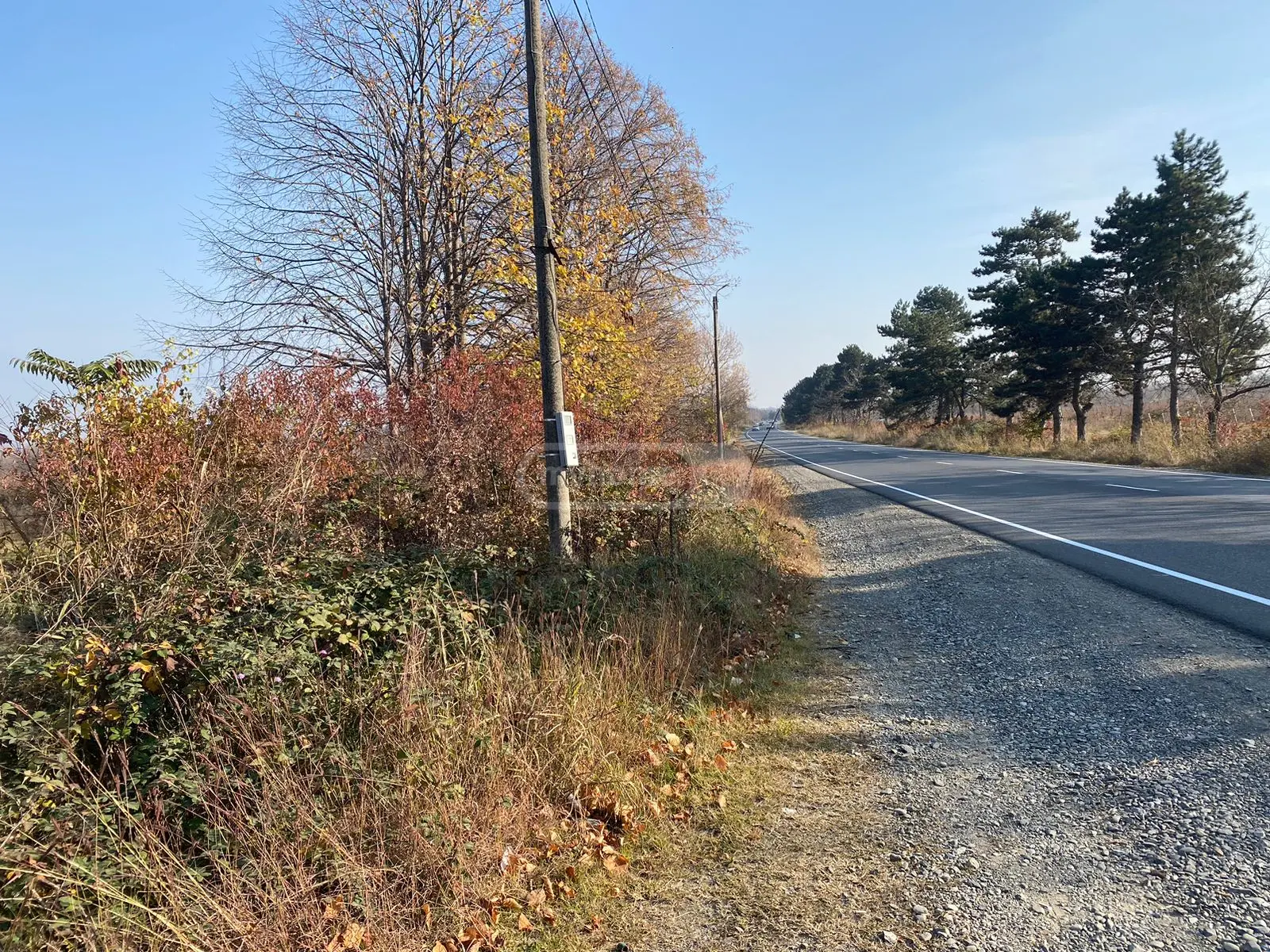 Investment / For Construction Plot For Sale In Telavi view 2