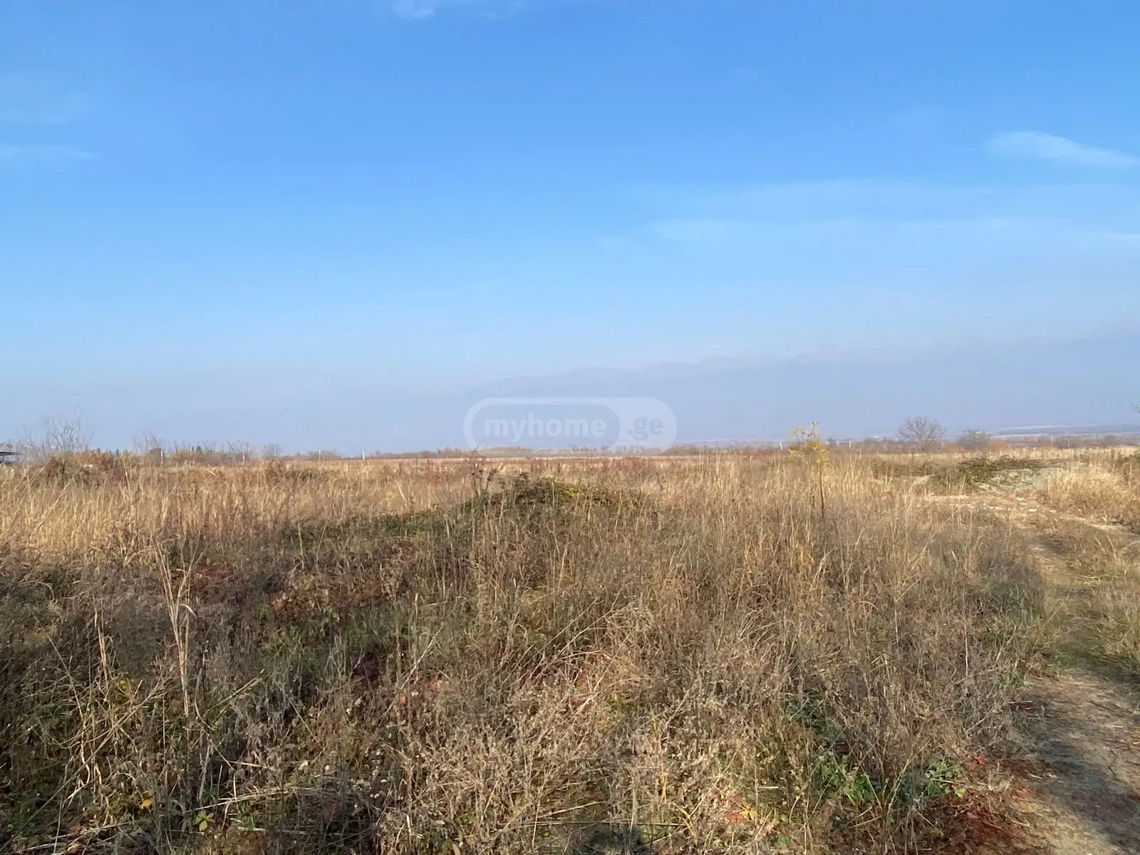 Investment / For Construction Plot For Sale In Telavi view 8