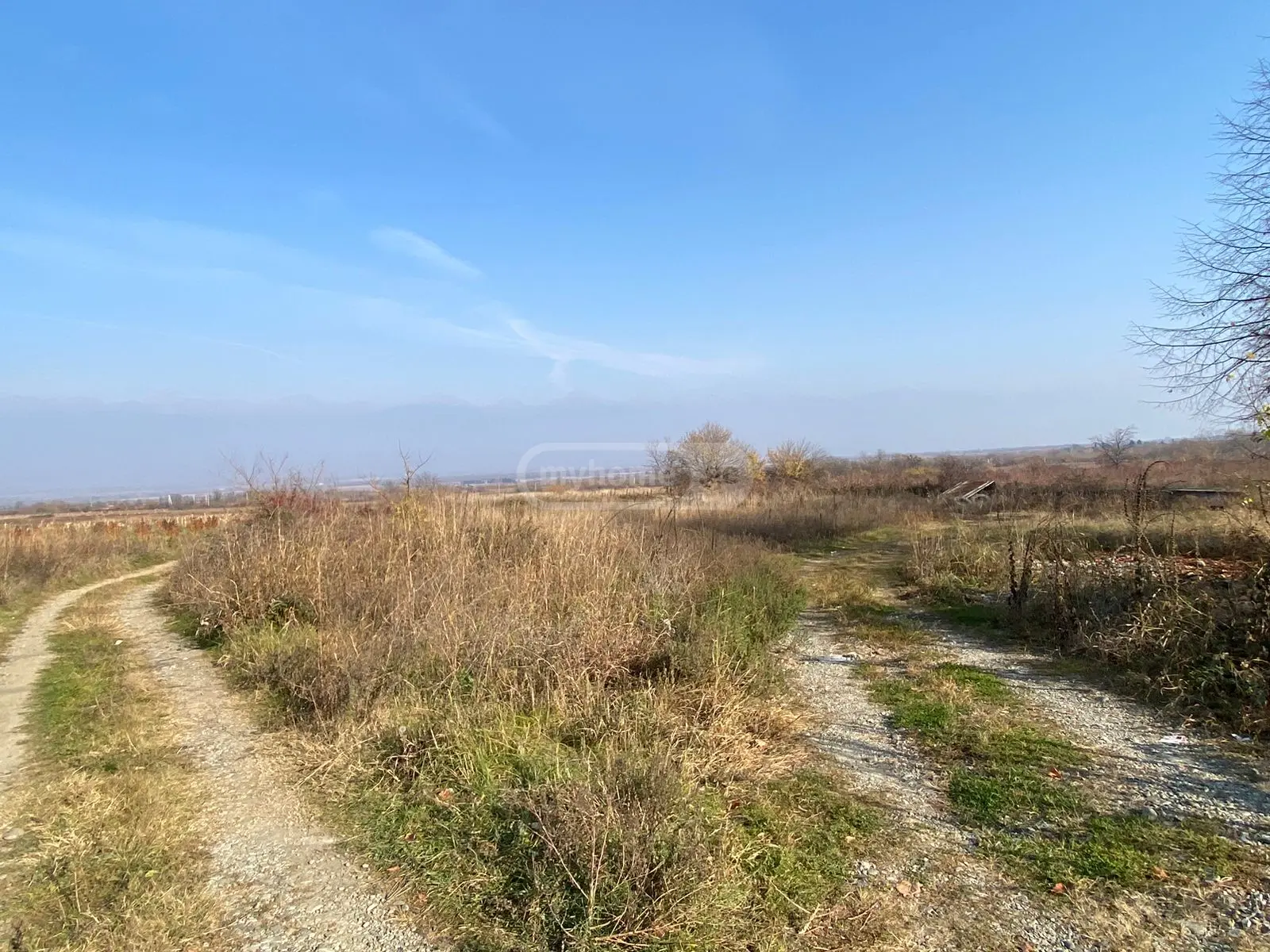 Investment / For Construction Plot For Sale In Telavi view 7