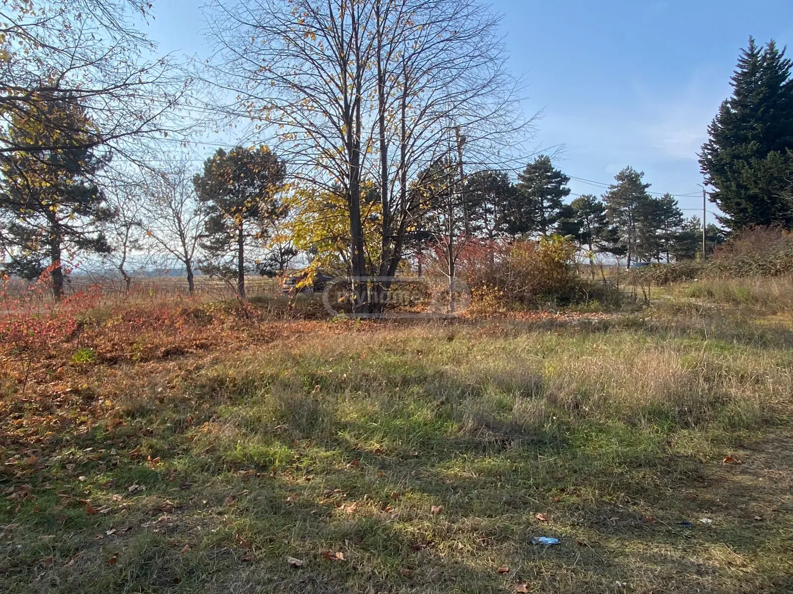 Investment / For Construction Plot For Sale In Telavi view 11