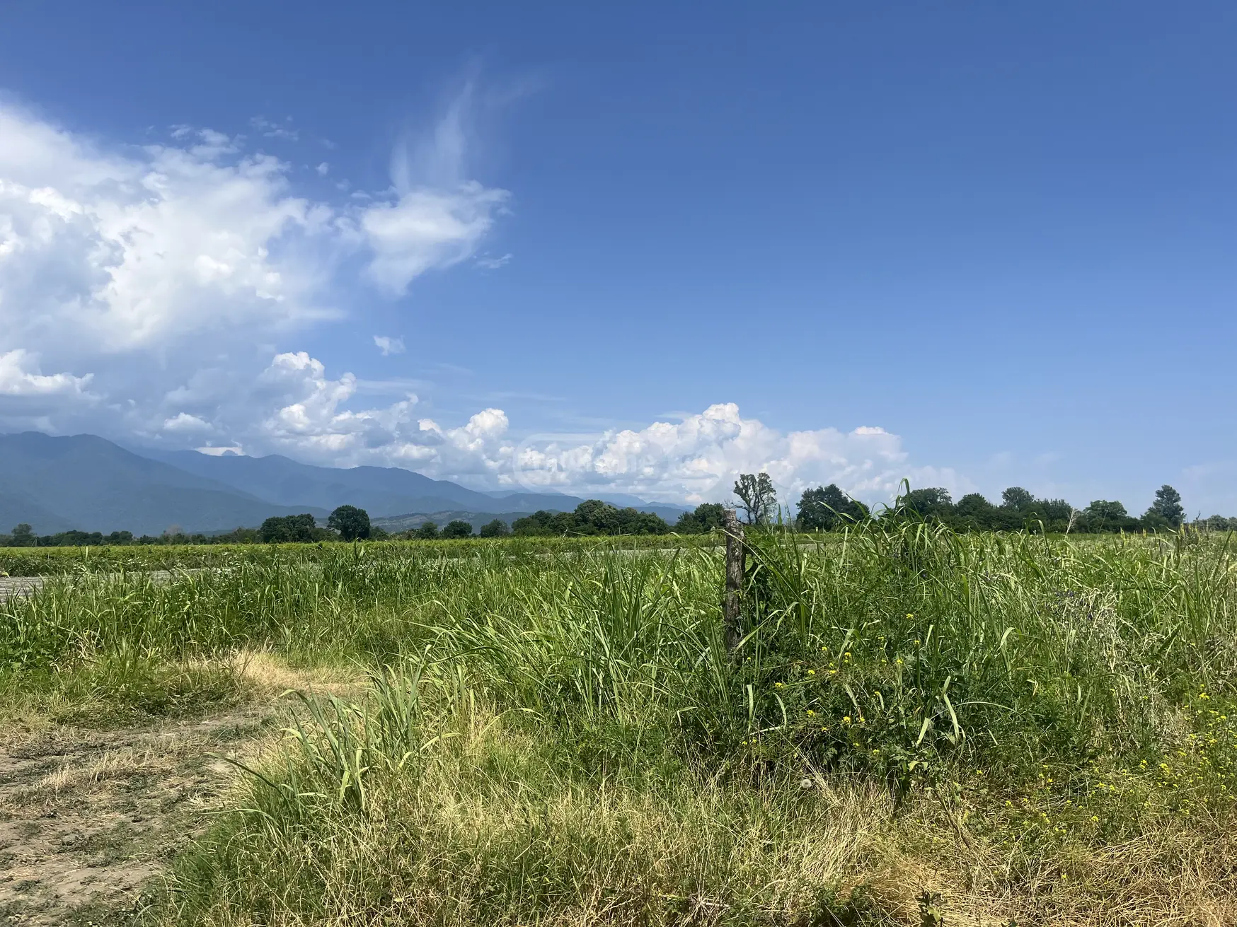 Agricultural Plot For Sale In Kvareli view 2