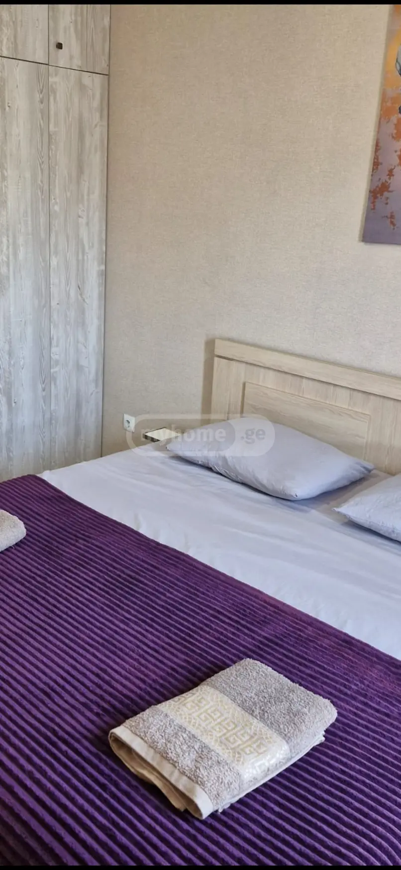 2 Room Apartment Daily Rent In Varketili view 8