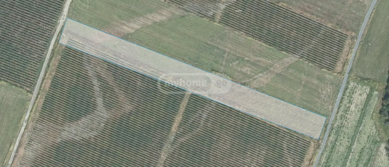 Agricultural Plot For Sale In Kvareli view 5