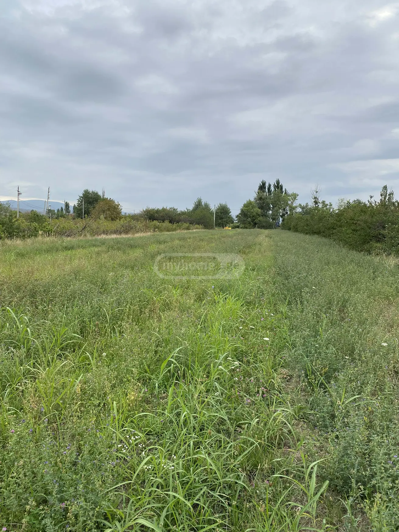 Agricultural Plot For Sale view 2