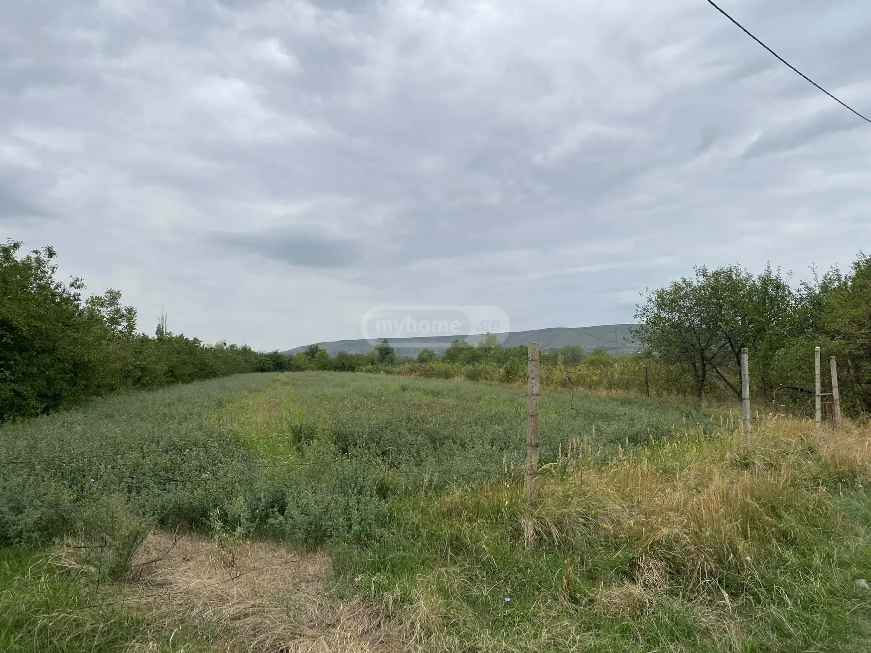 Agricultural Plot For Sale view 3