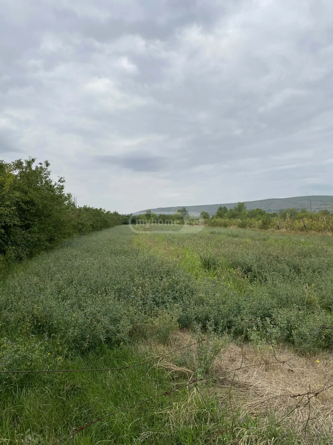 Agricultural Plot For Sale view 4