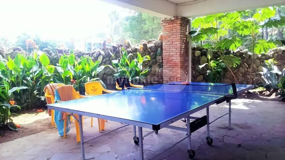3 Room Apartment For Sale view 11