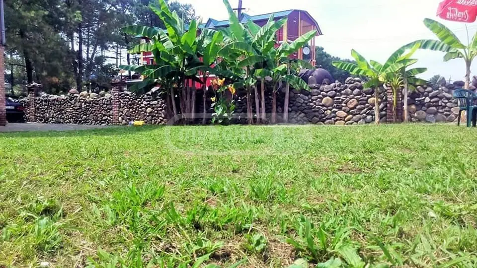 3 Room Apartment For Sale view 13