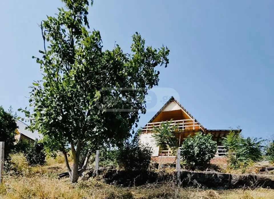 4 Room Country House Daily Rent In Gldani view 1