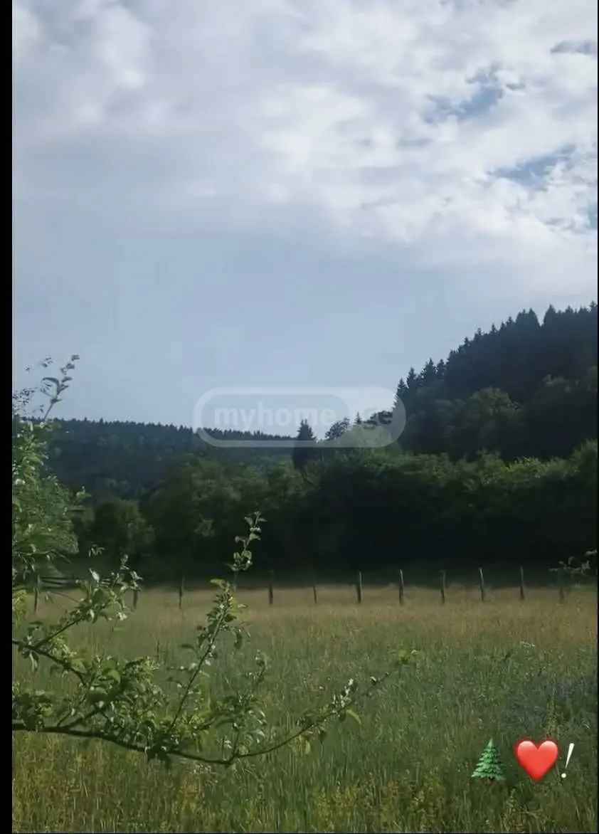Agricultural Plot For Sale In Ambrolauri view 2