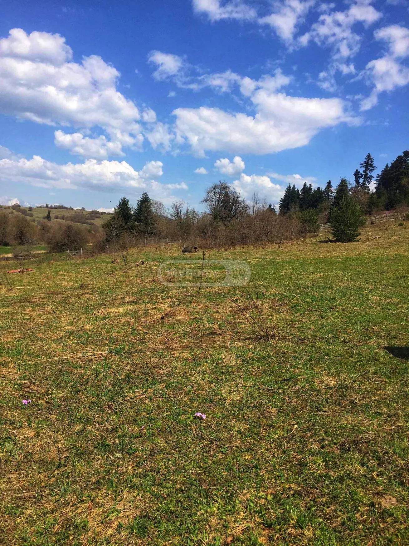 Agricultural Plot For Sale In Ambrolauri view 5