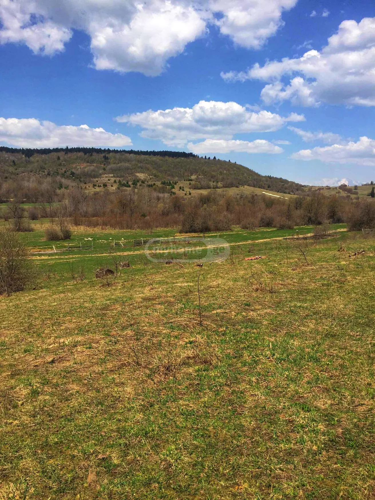 Agricultural Plot For Sale In Ambrolauri view 6