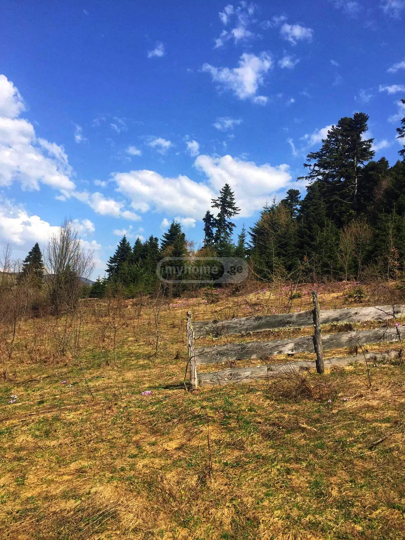 Agricultural Plot For Sale In Ambrolauri view 9