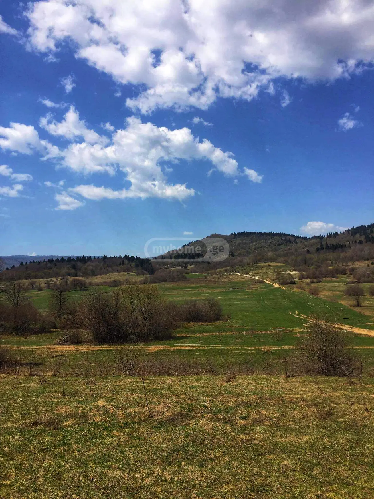 Agricultural Plot For Sale In Ambrolauri view 3