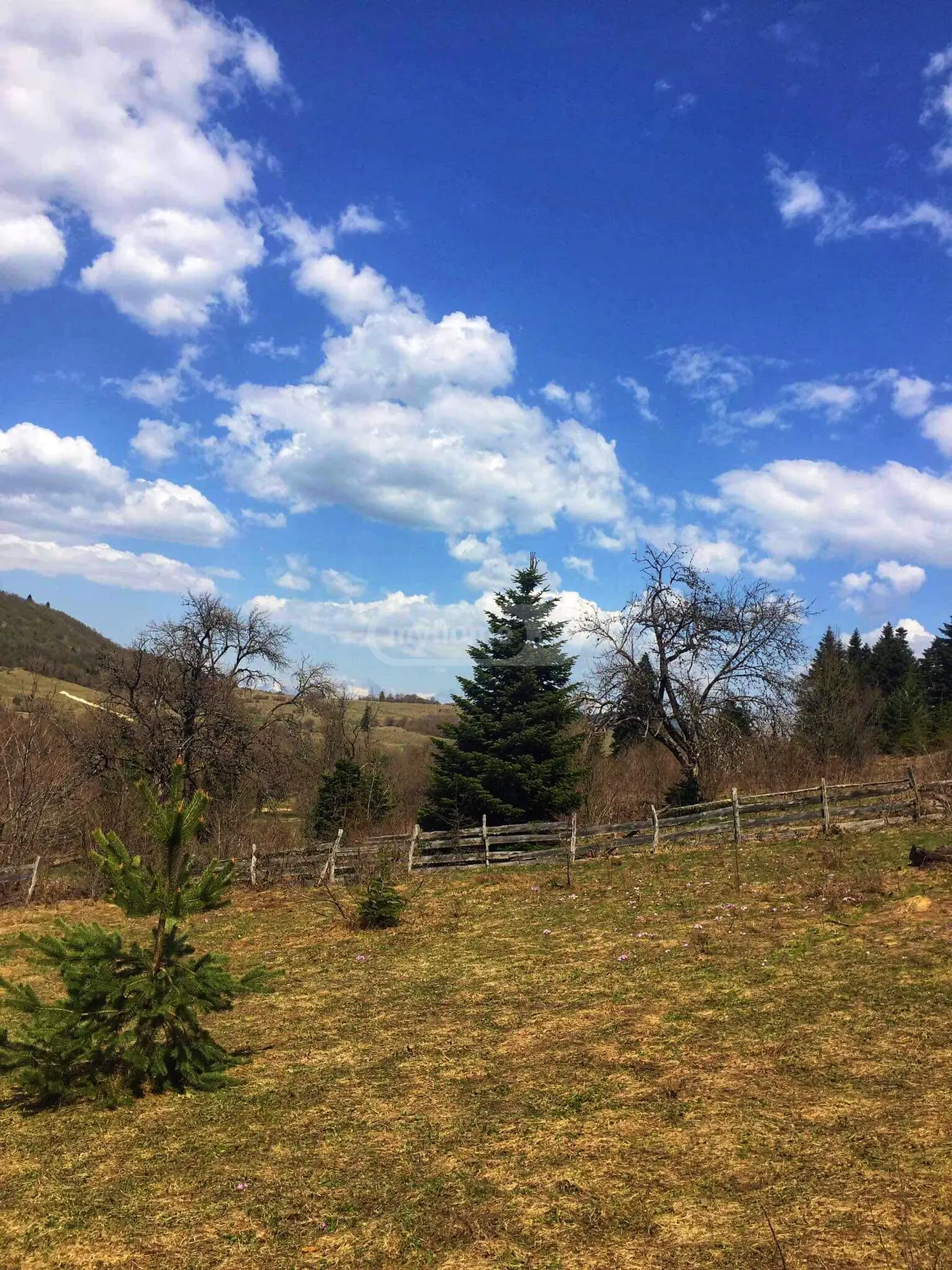 Agricultural Plot For Sale In Ambrolauri view 2