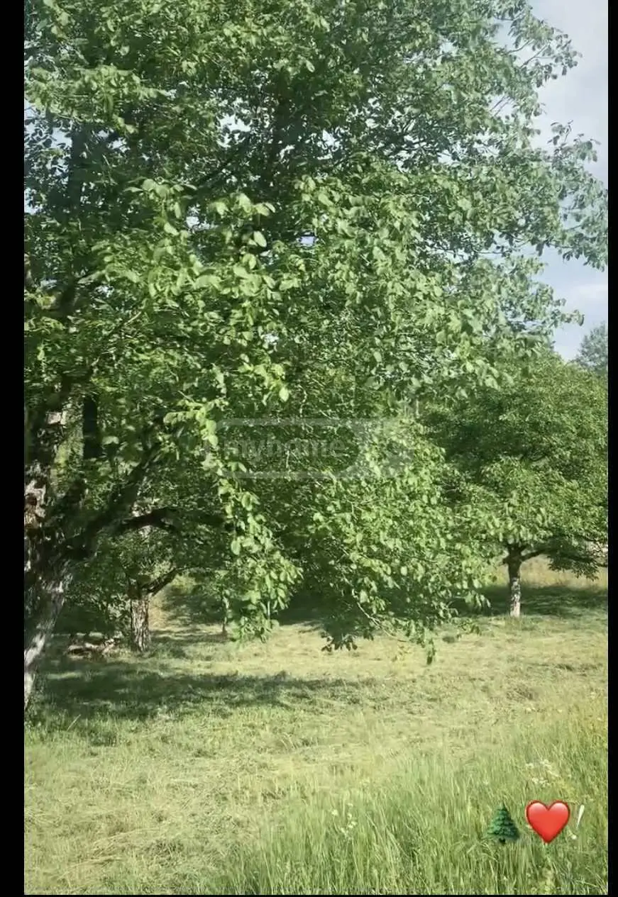 Agricultural Plot For Sale In Ambrolauri view 6