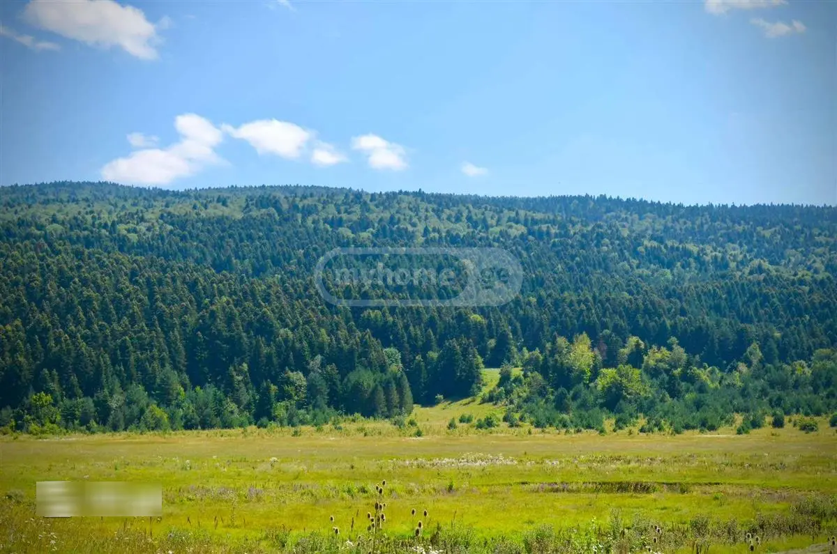 Agricultural Plot For Sale In Ambrolauri view 1