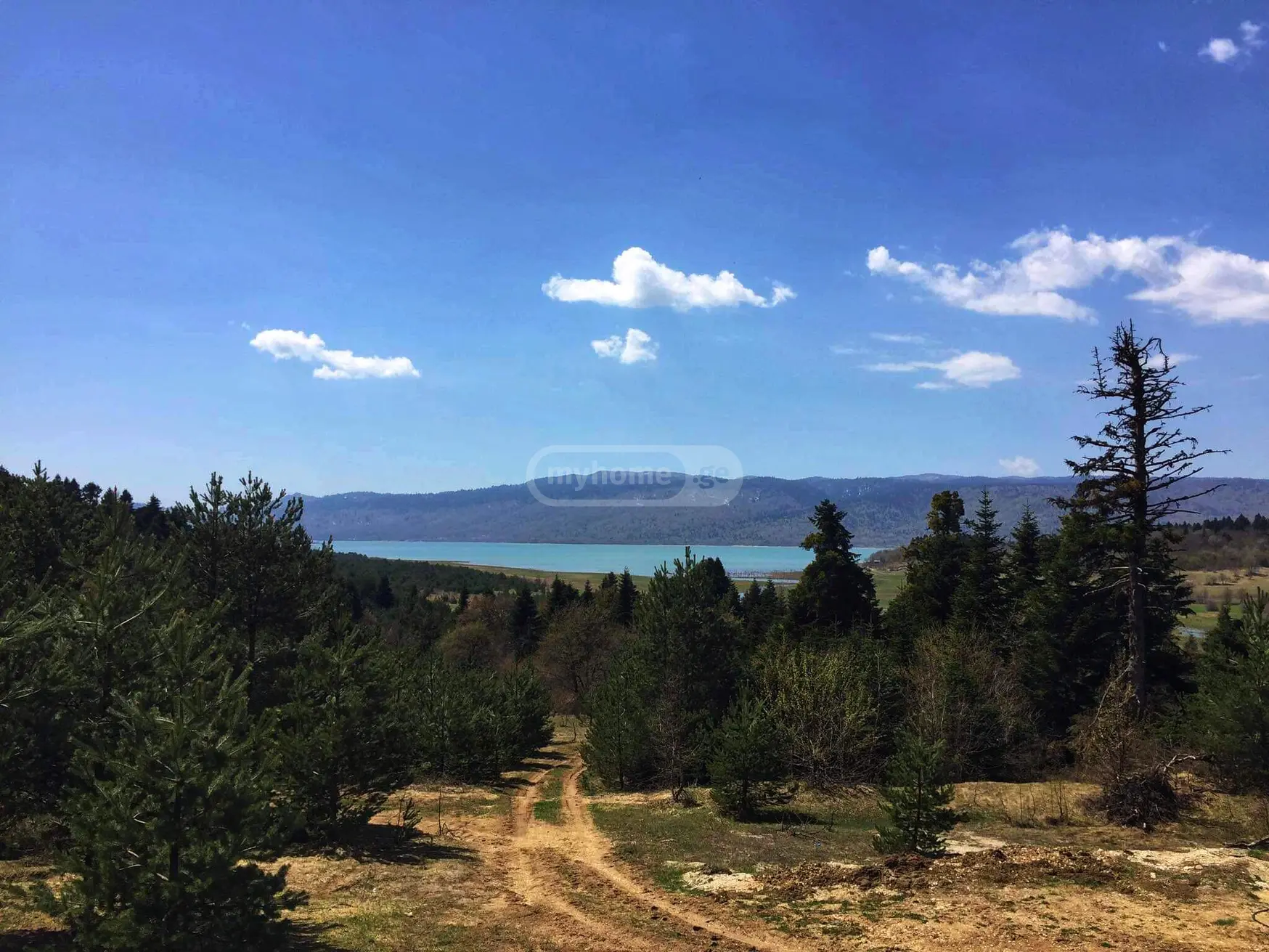 Agricultural Plot For Sale In Ambrolauri view 1