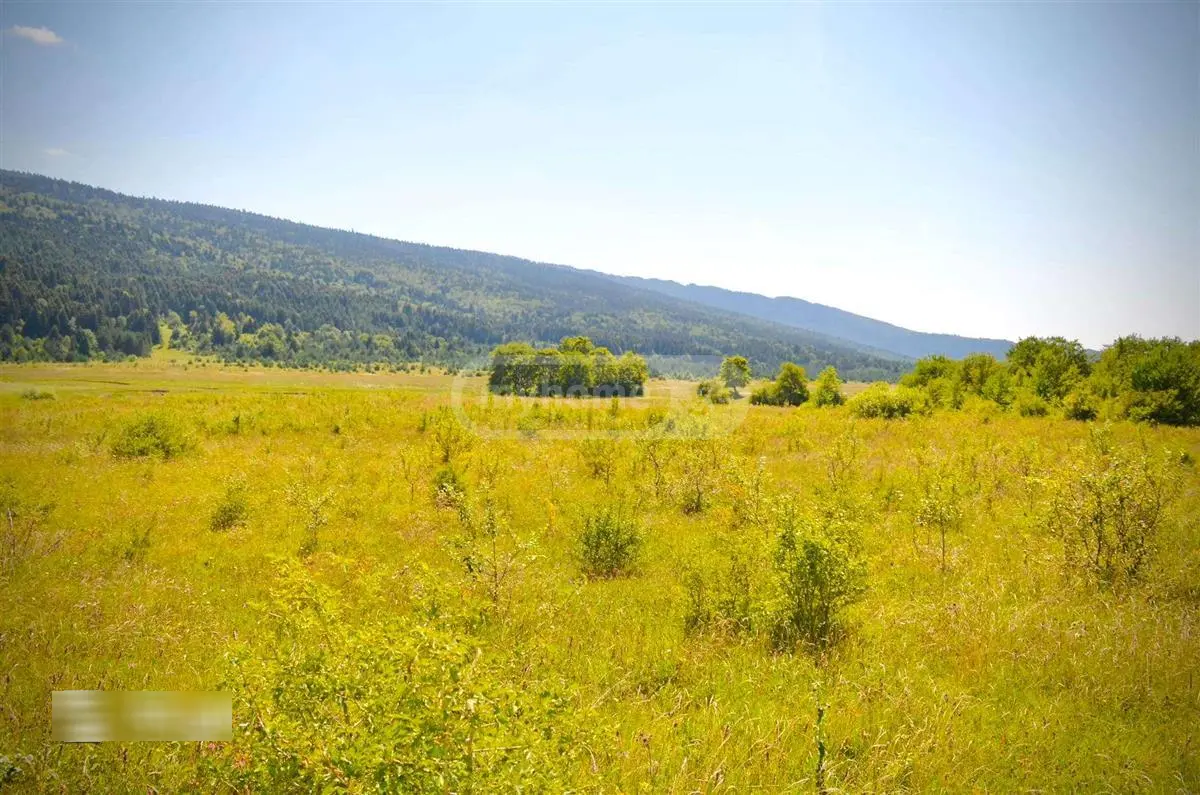 Agricultural Plot For Sale In Ambrolauri view 2