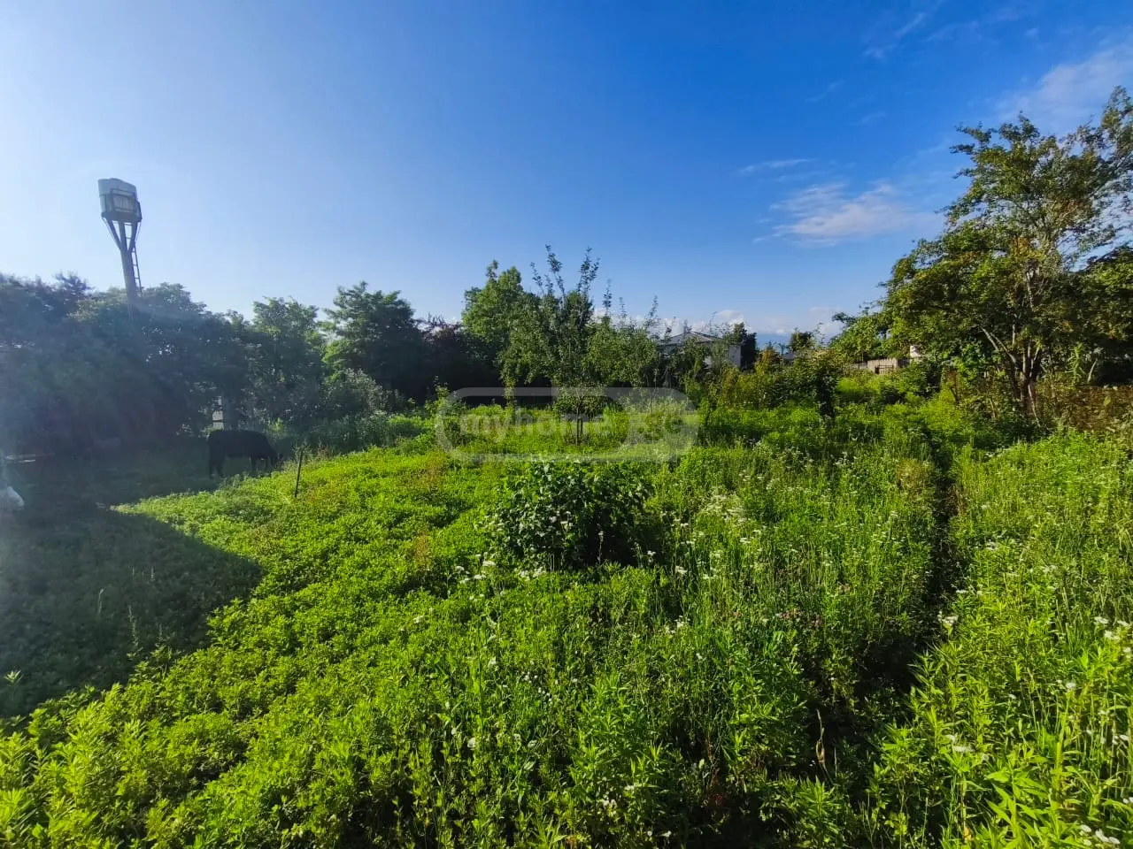 Universal Commercial Area For Sale In Zugdidi view 12