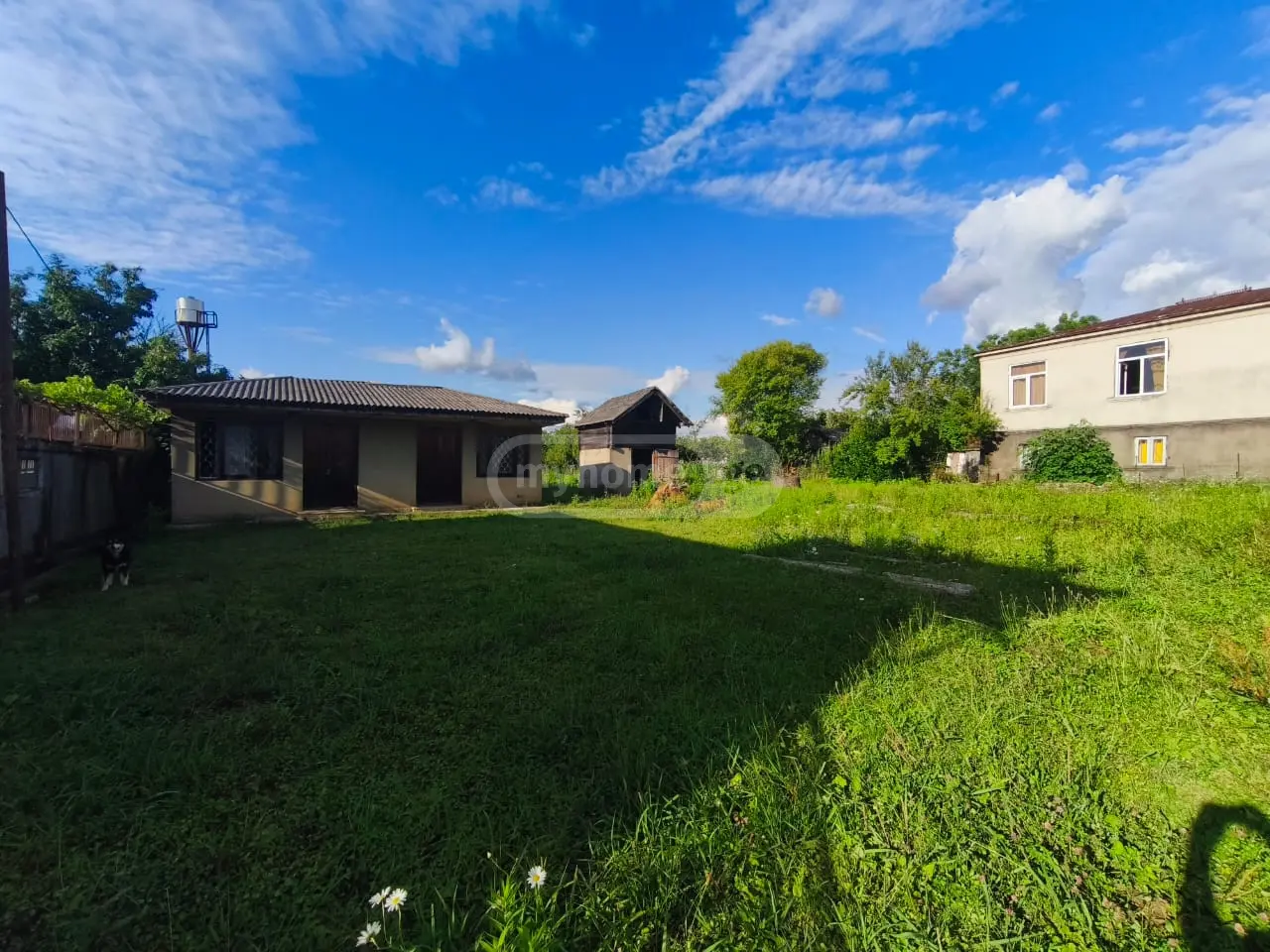 Universal Commercial Area For Sale In Zugdidi view 10