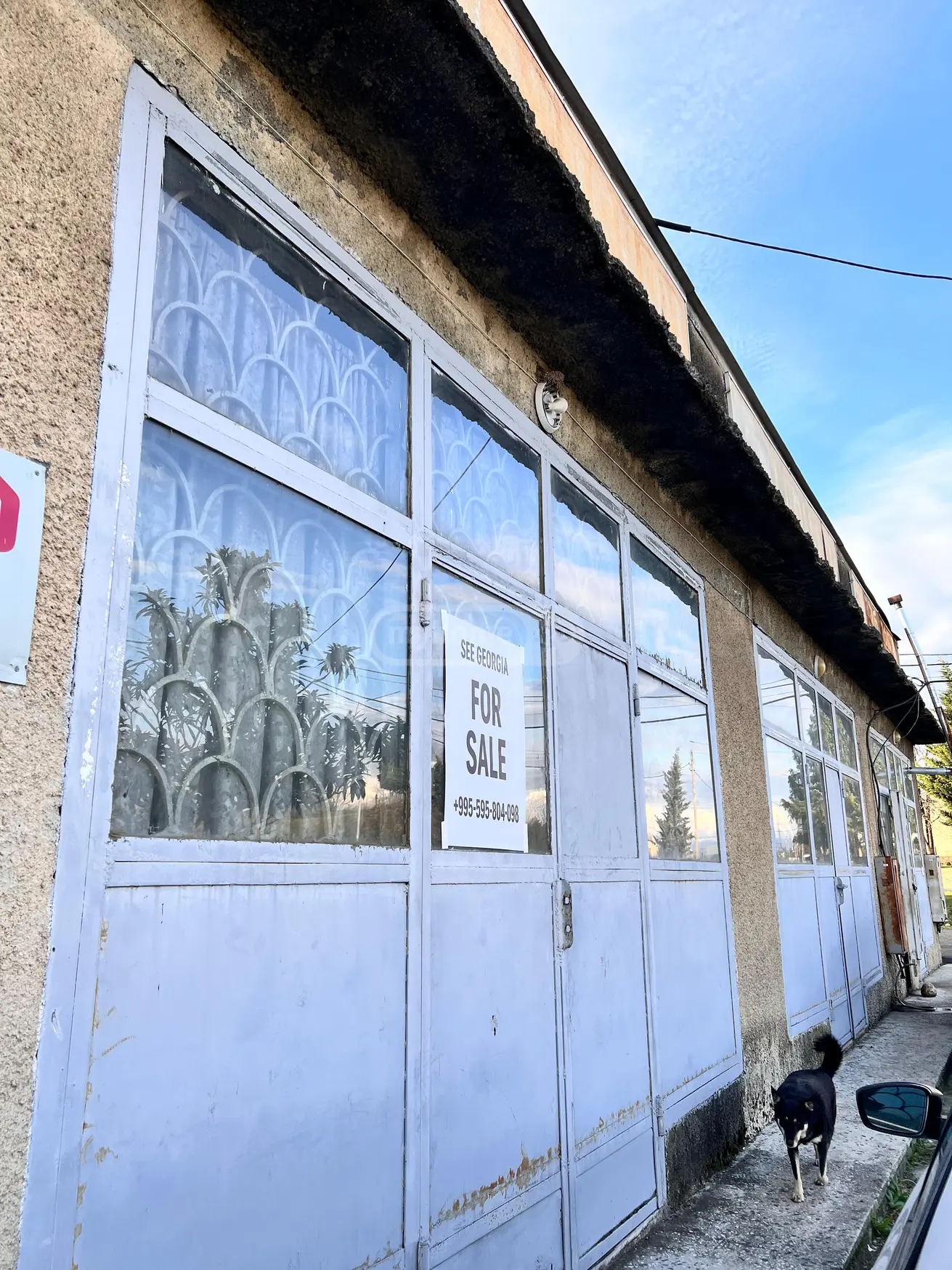 Продажа Universal Commercial Area в In Zugdidi view 1