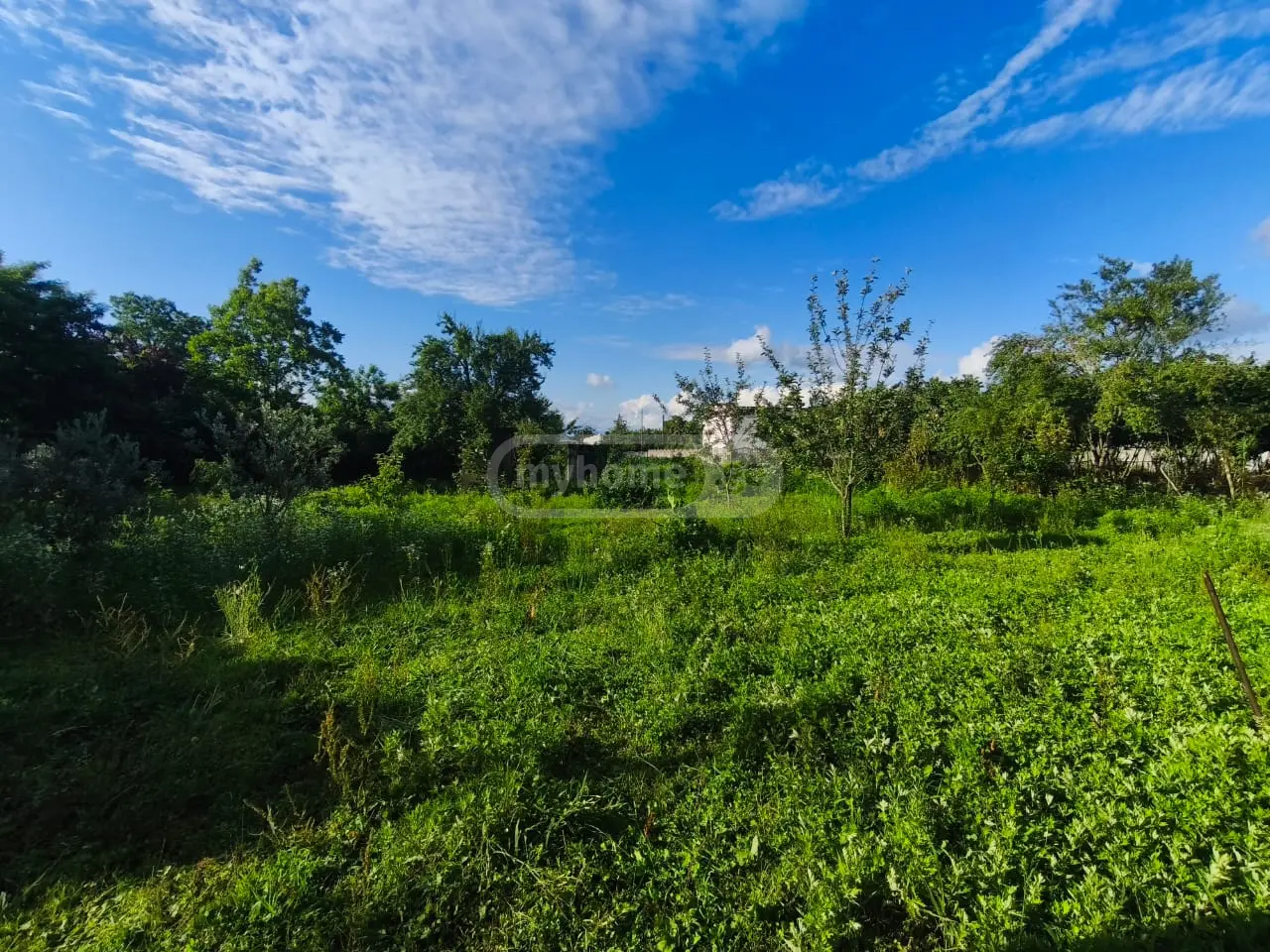 Universal Commercial Area For Sale In Zugdidi view 9