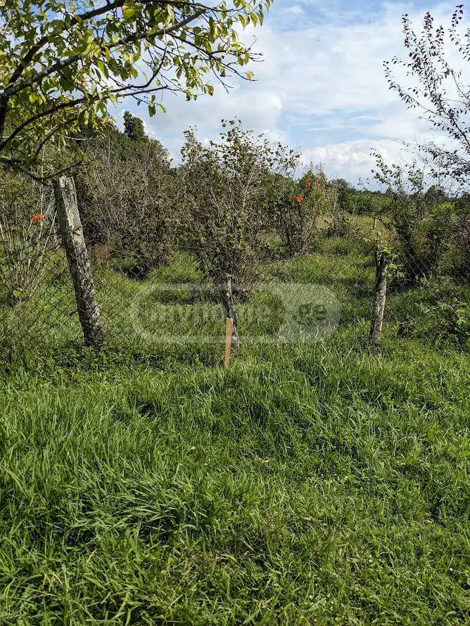 Agricultural Plot For Sale In Shekvetili, In Ozurgeti Municipality view 6