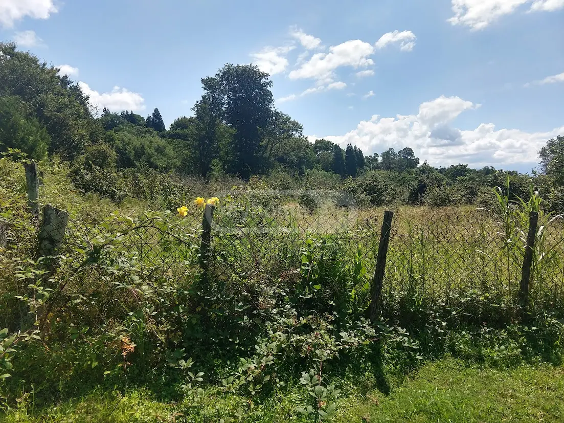 Agricultural Plot For Sale In Shekvetili, In Ozurgeti Municipality view 4