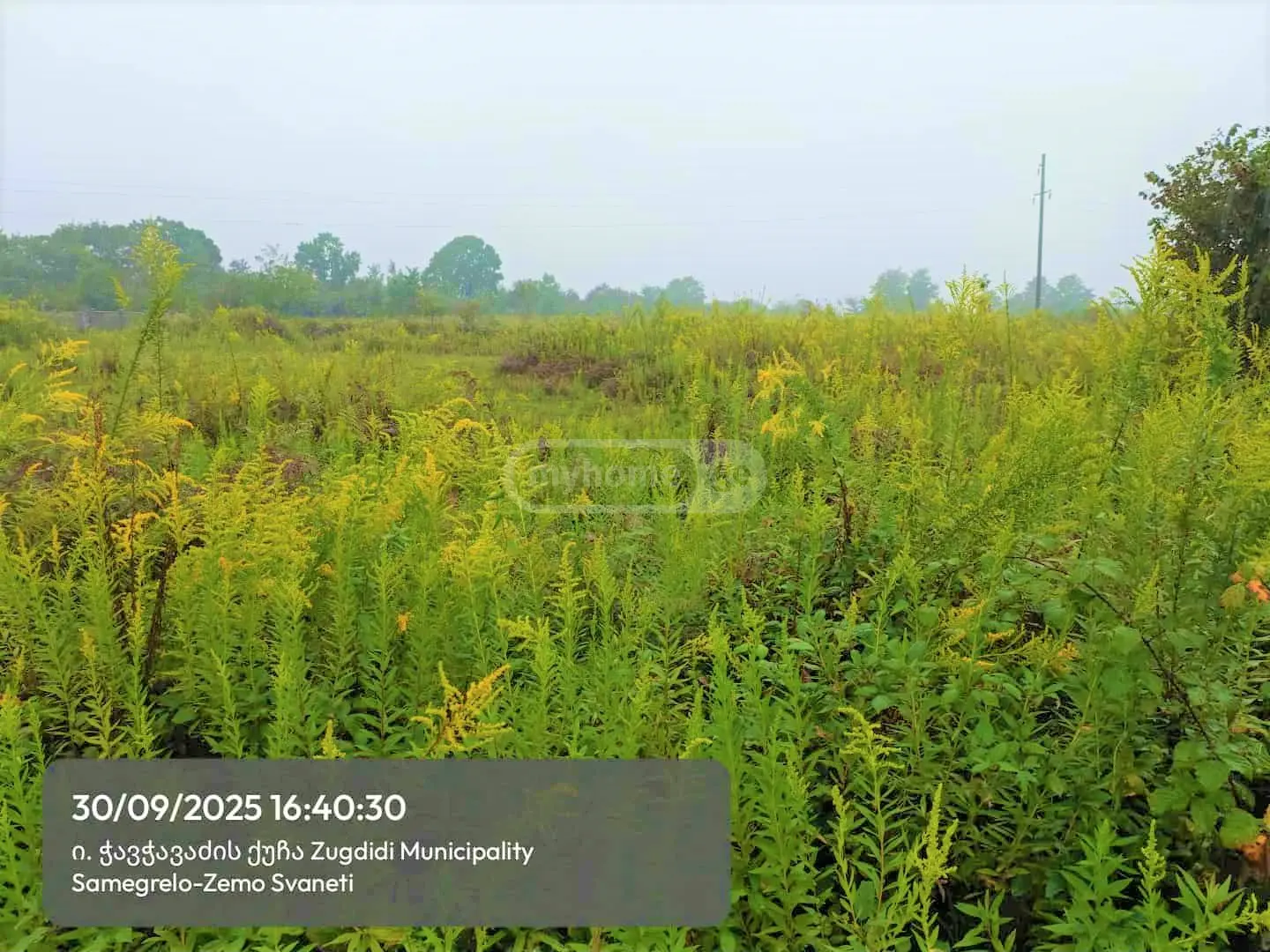 Agricultural Plot For Sale In Zugdidi view 4