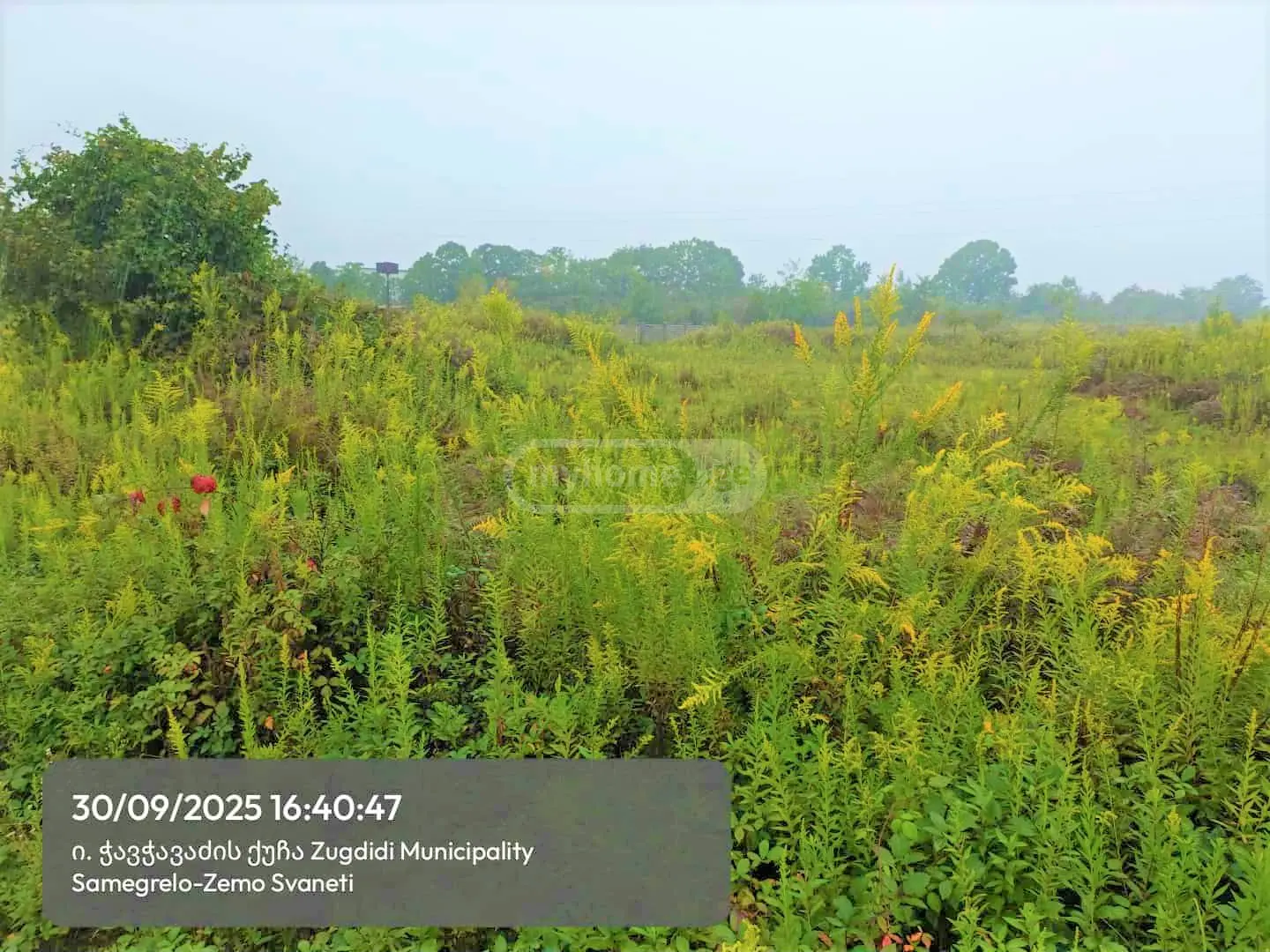 Agricultural Plot For Sale In Zugdidi view 1