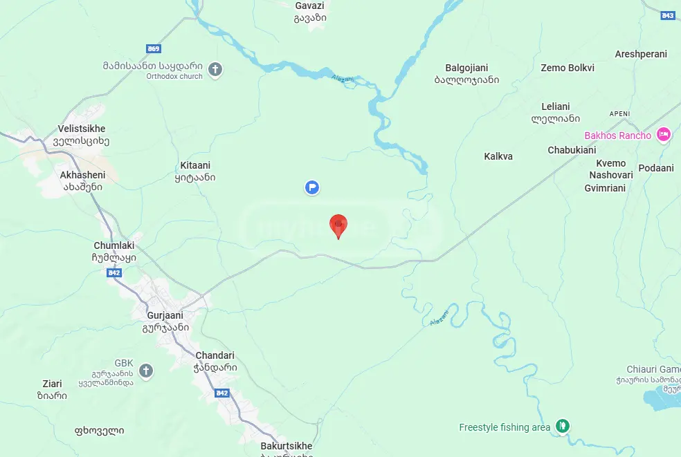Agricultural Plot For Sale In Gurjaani view 6