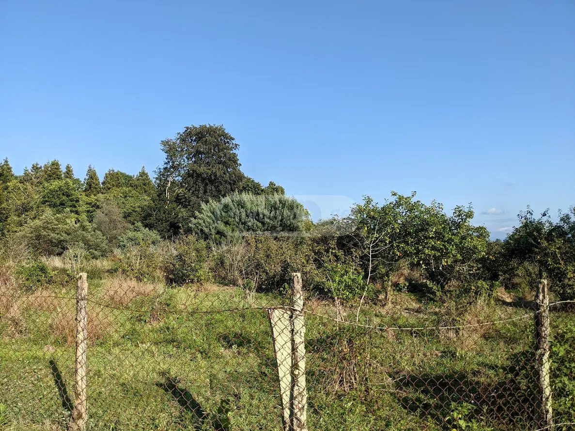 Agricultural Plot For Sale In Shekvetili, In Ozurgeti Municipality view 5