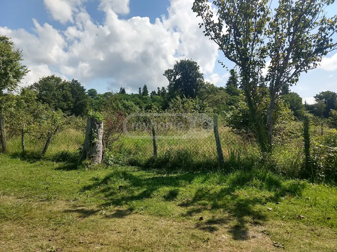 Agricultural Plot For Sale In Shekvetili, In Ozurgeti Municipality view 3