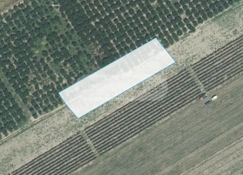 Agricultural Plot For Sale In Gurjaani view 5