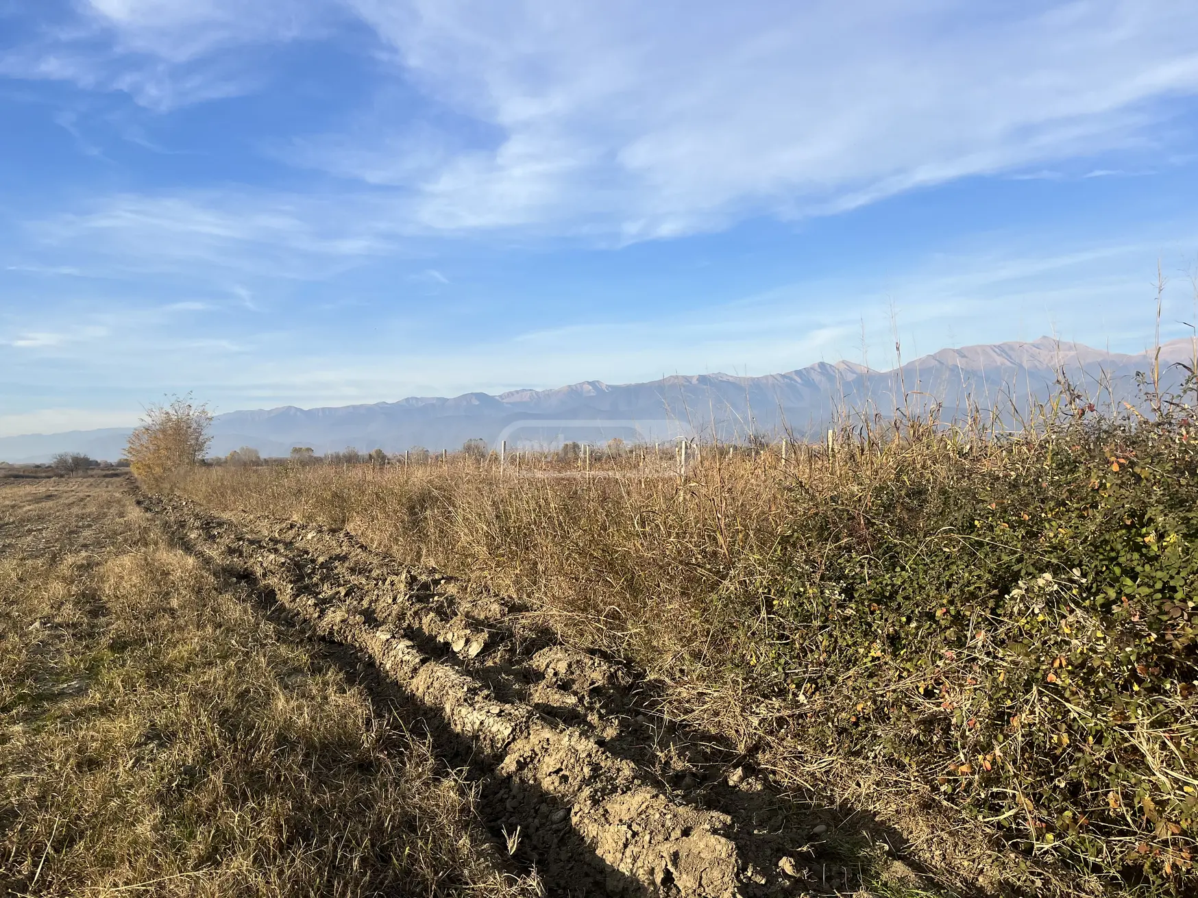 Продажа Agricultural Plot в In Gurjaani view 3