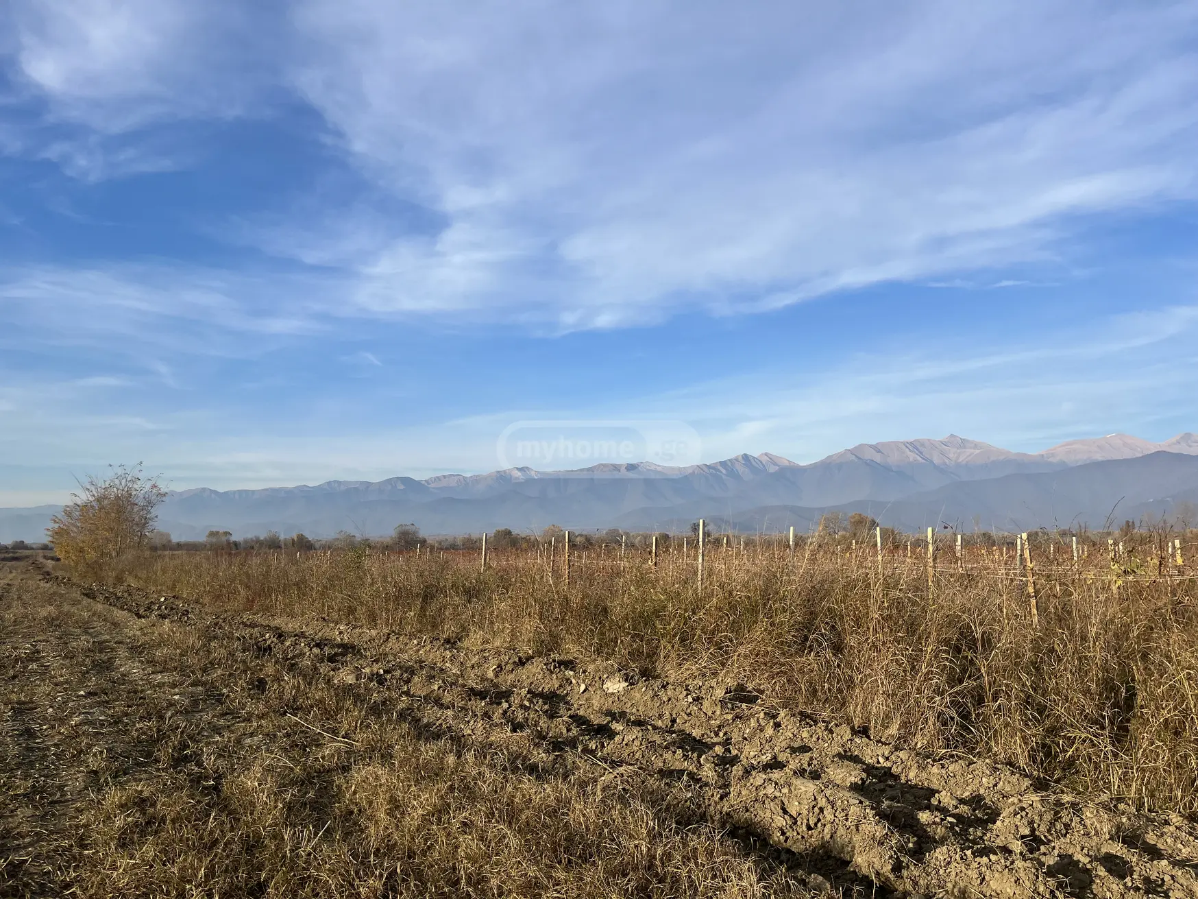 Продажа Agricultural Plot в In Gurjaani view 2