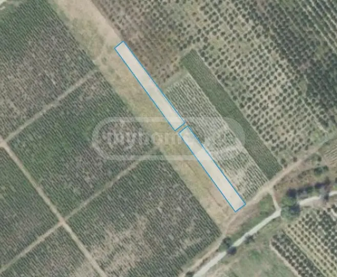 Продажа Agricultural Plot в In Gurjaani view 5