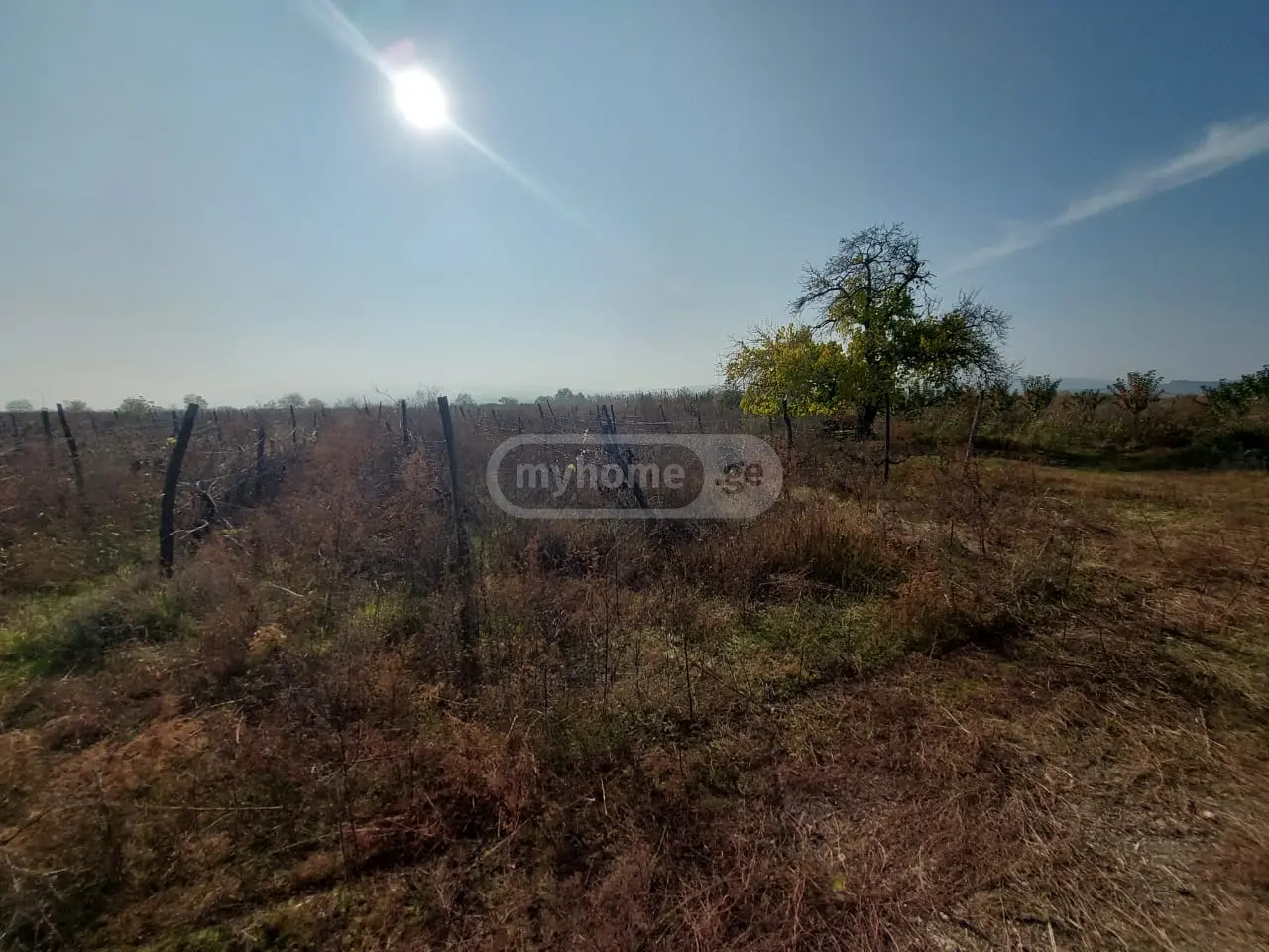 Agricultural Plot For Sale In Gurjaani view 4