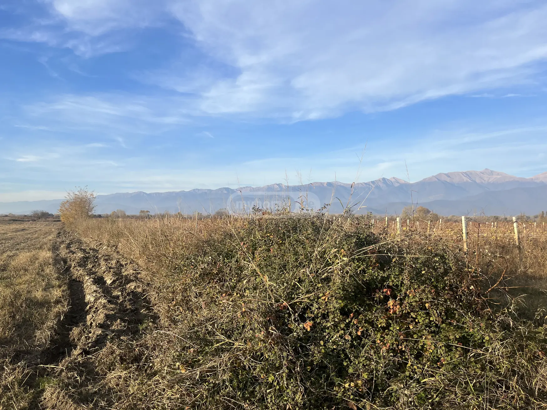 Продажа Agricultural Plot в In Gurjaani view 1
